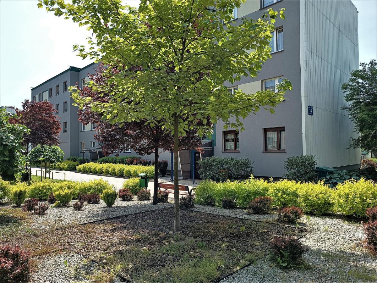 Bursztynowy Apartament Tarnowskie Góry Esterno foto