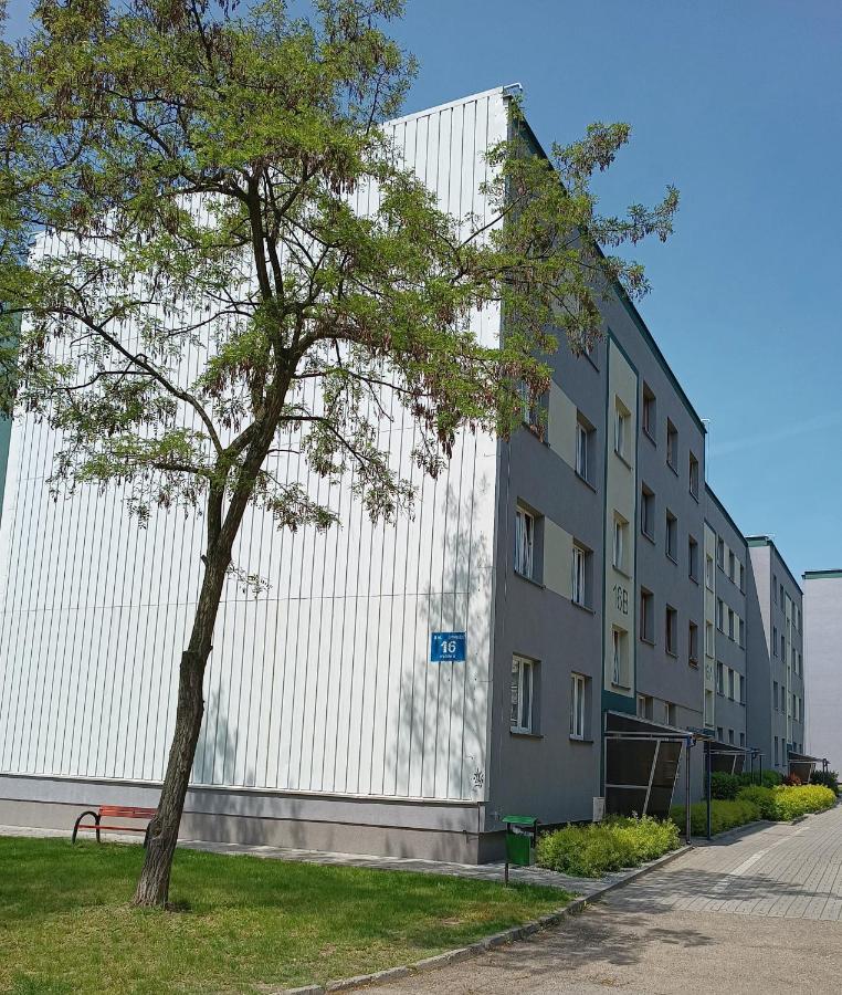 Bursztynowy Apartament Tarnowskie Góry Esterno foto